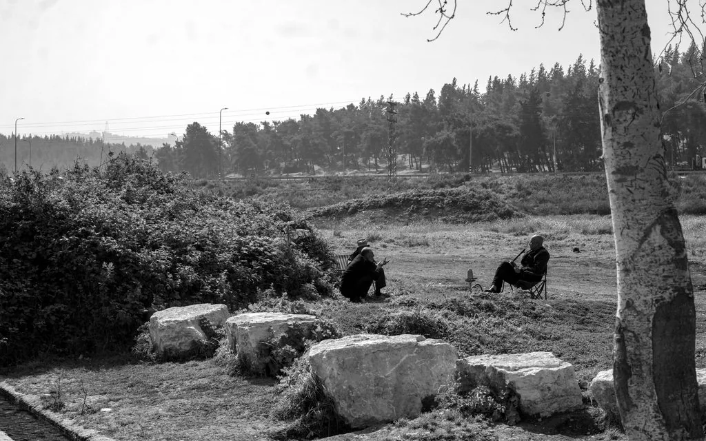 Three men in a field behind a row of boulders, one seated with a hookah, pine forest beyond, Holy Land