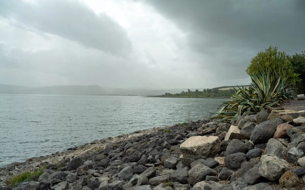 Basalt boulders along the Sea of Galilee under rain clouds, agave and euphorbia on the bank, Sea of Galilee